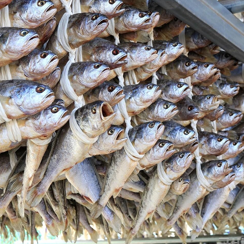 b01) 특대부서굴비