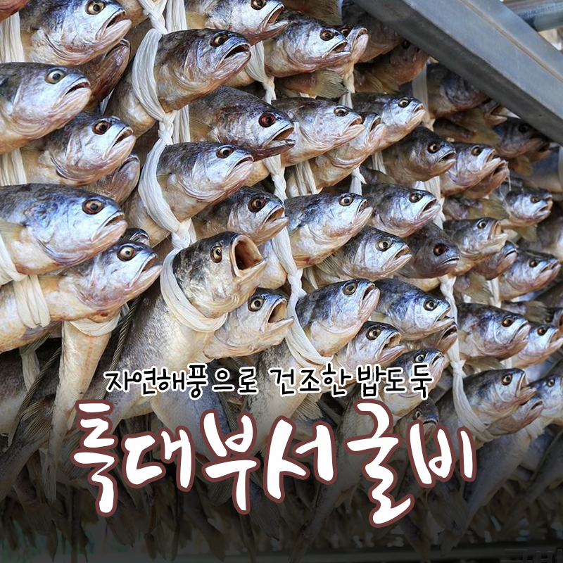 b01) 특대부서굴비