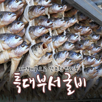b01) 특대부서굴비