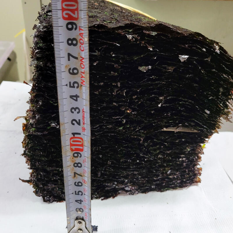 b01) 곱창김 1톳(100장)