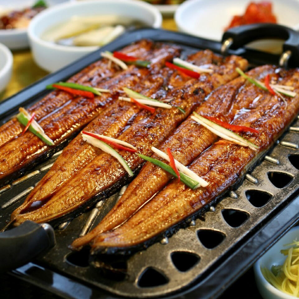 a01) 바다장어