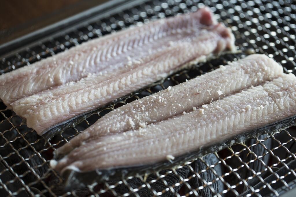 a01) 바다장어