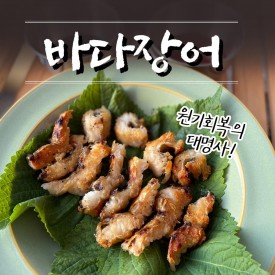 a01) 바다장어