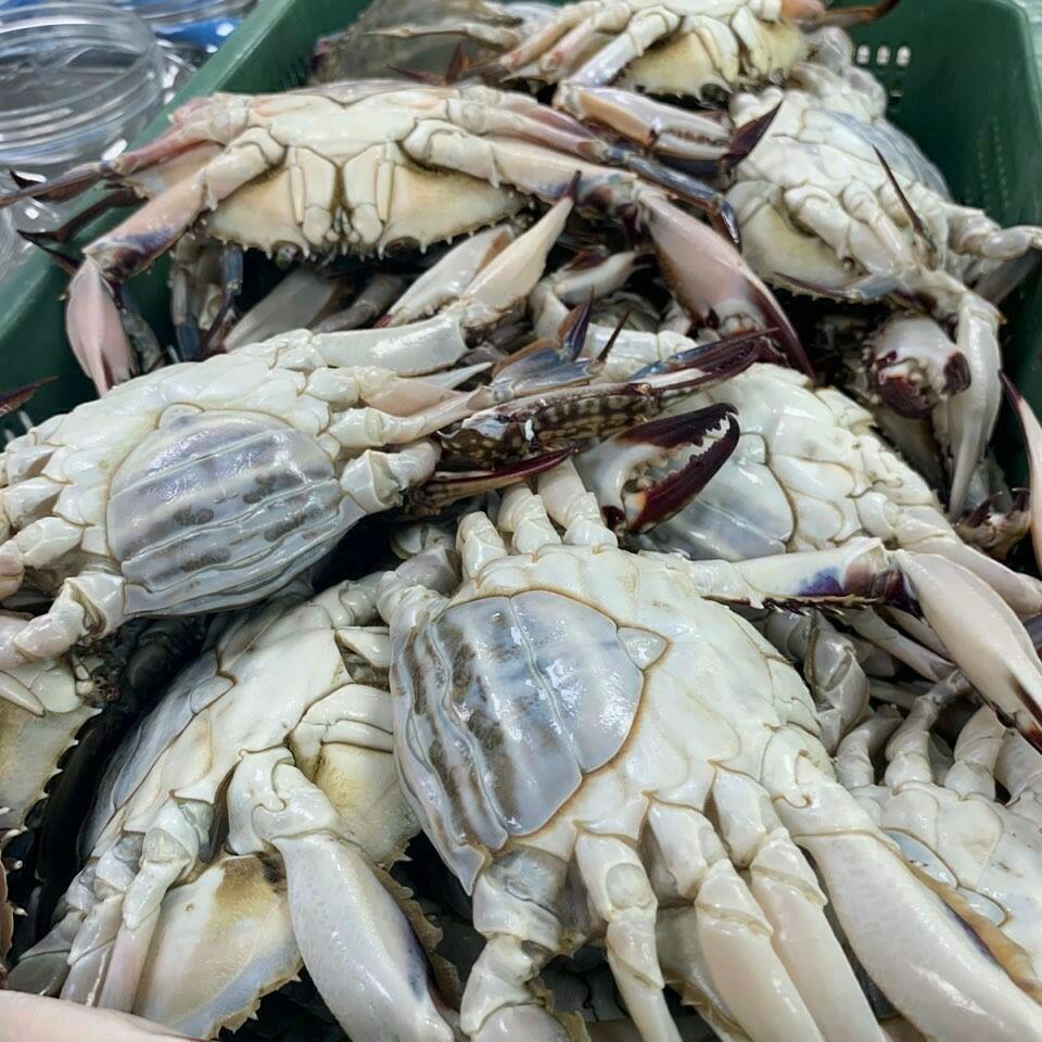 a01) 암꽃게장 2.4kg